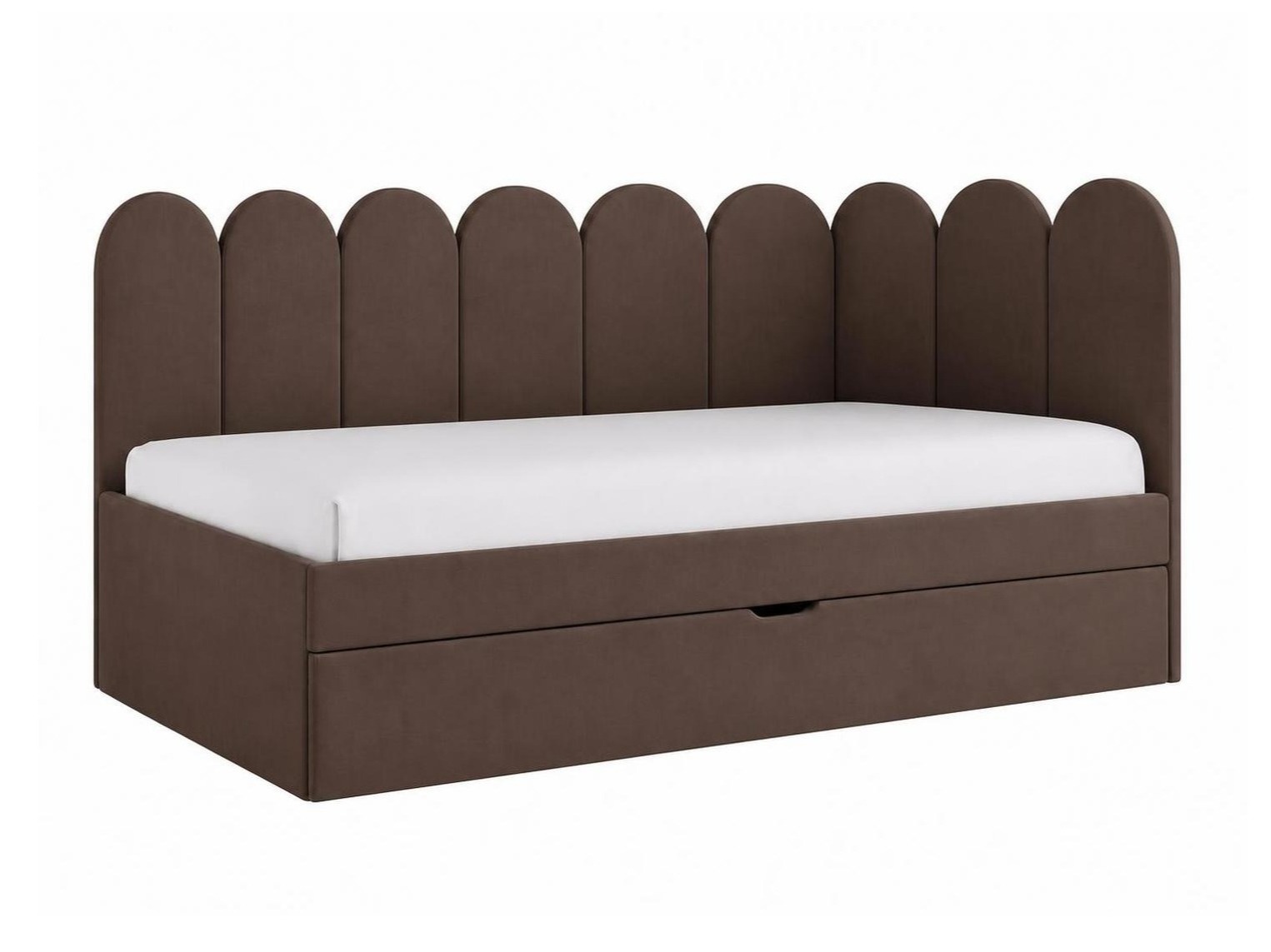 Seng Franklin 232 (Magic Velvet 2299)