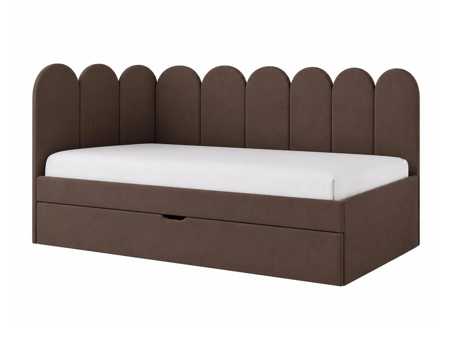 Seng Franklin 232 (Magic Velvet 2299)